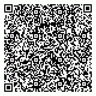 vCard 79538202632