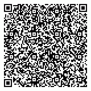 vCard 79538202641