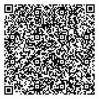 vCard 79538202649