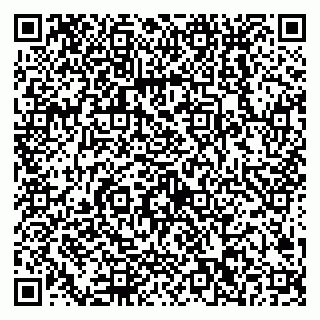 vCard 79538202653