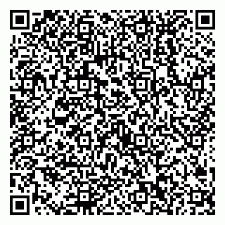 vCard 79538202654