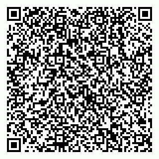 vCard 79538202655