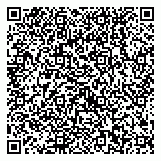 vCard 79538202658