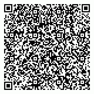 vCard 79538202663