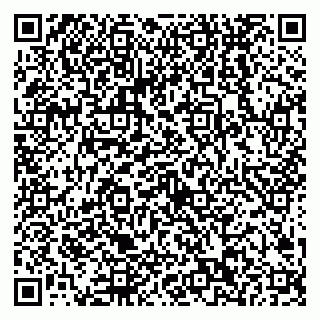 vCard 79538202666