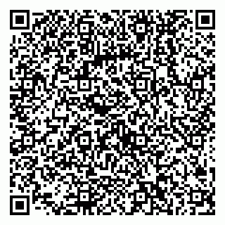 vCard 79538202667