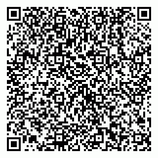 vCard 79538202668