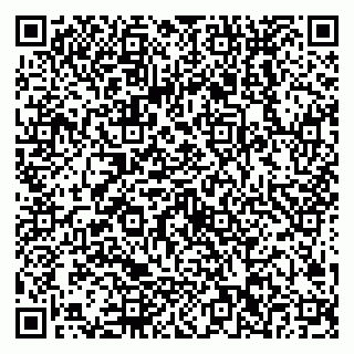 vCard 79538202671