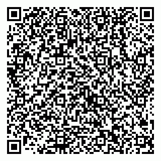 vCard 79538202674