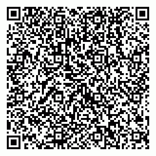 vCard 79538202675