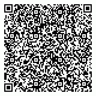 vCard 79538202679