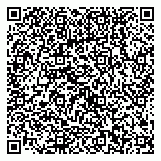 vCard 79538202698