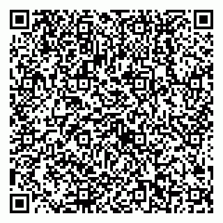 vCard 79538202699