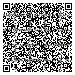 vCard 79538202701