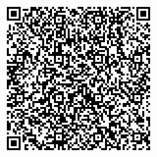 vCard 79538202703