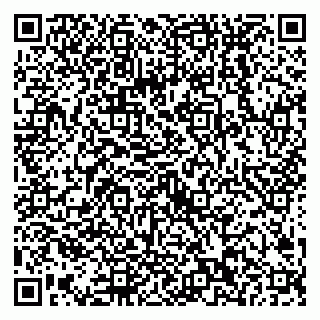 vCard 79538202706