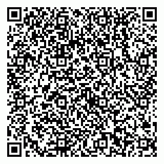 vCard 79538202718