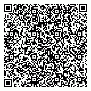 vCard 79538202724