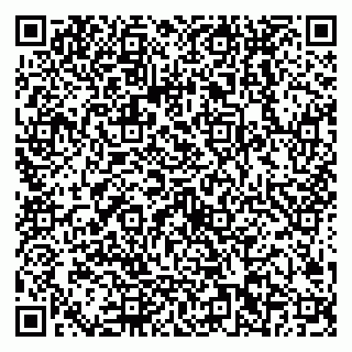vCard 79538202729