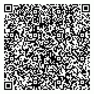 vCard 79538202730