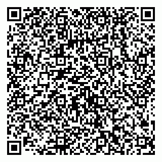vCard 79538202733