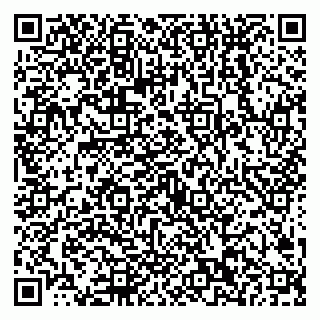 vCard 79538202736