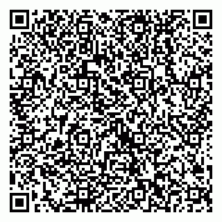 vCard 79538202741