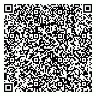 vCard 79538202747