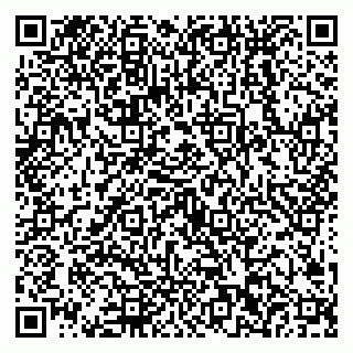 vCard 79538202750