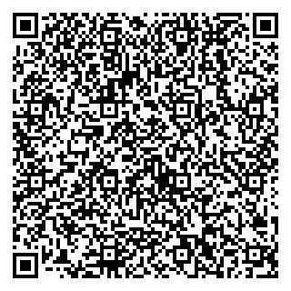 vCard 79538202783
