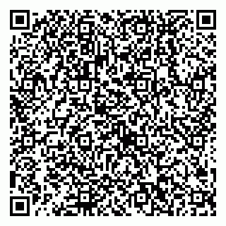 vCard 79538202793