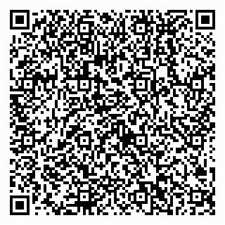 vCard 79538202795
