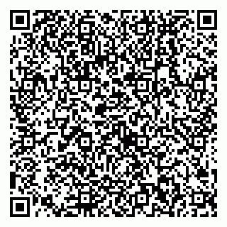 vCard 79538202800