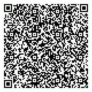 vCard 79538202801