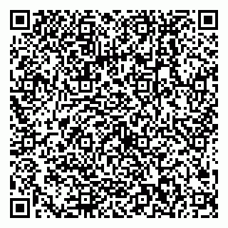 vCard 79538202802
