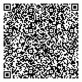 vCard 79538202803