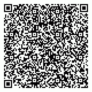 vCard 79538202807