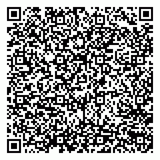 vCard 79538202809
