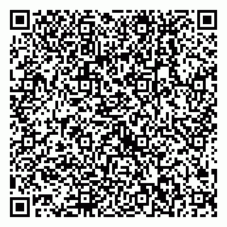vCard 79538202811