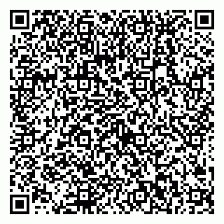 vCard 79538202813