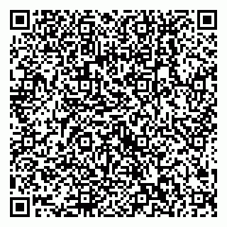 vCard 79538202816