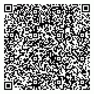 vCard 79538202818