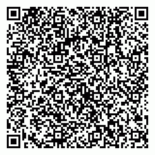 vCard 79538202821