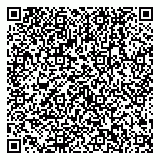 vCard 79538202824