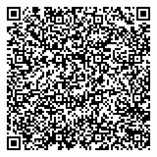 vCard 79538202825