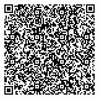 vCard 79538202827