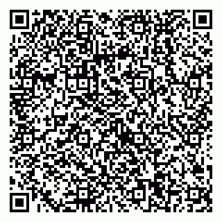 vCard 79538204679