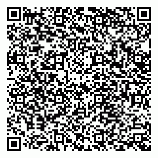vCard 79538204699
