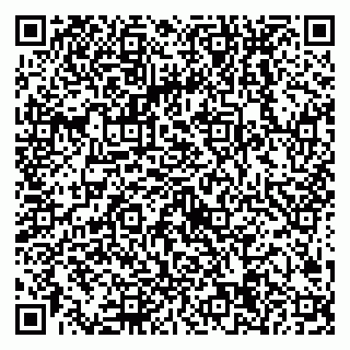 vCard 79538204704
