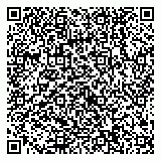 vCard 79538204727